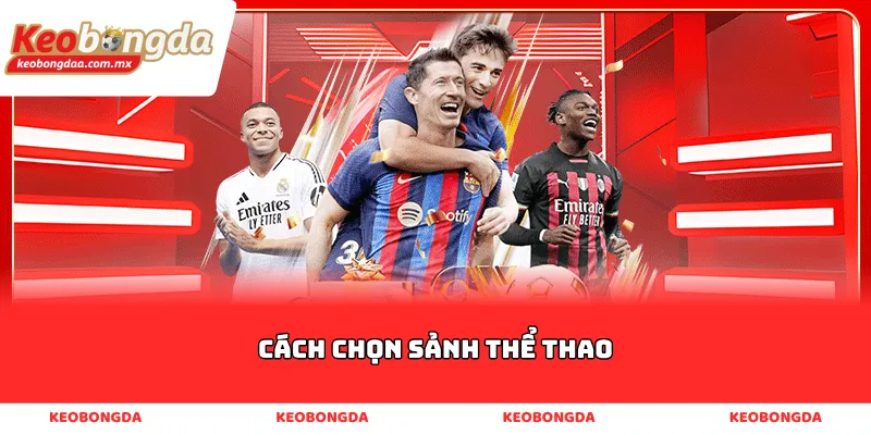 Cách chọn sảnh thể thao