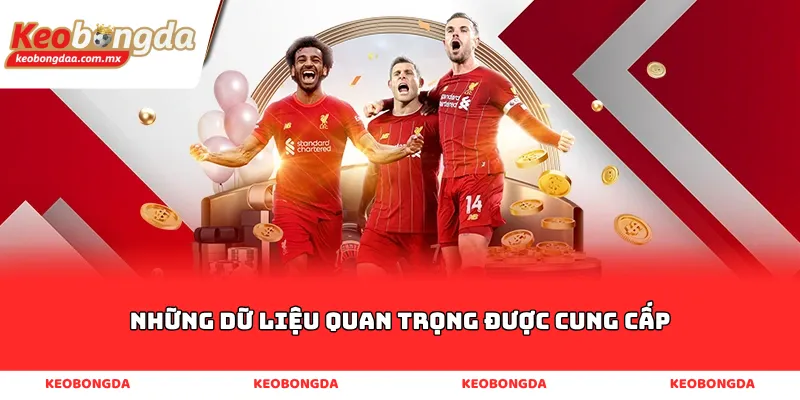 Những Dữ Liệu Quan Trọng Được Cung Cấp