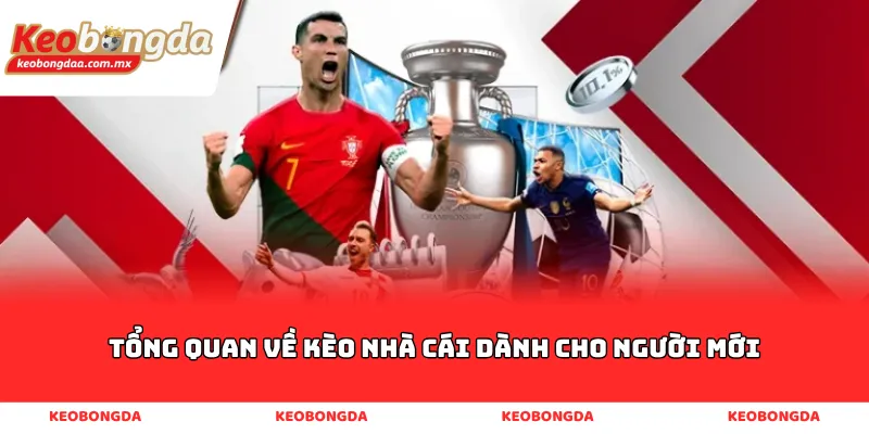 Tổng Quan Về Kèo Nhà Cái Dành Cho Người Mới